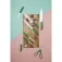 Kitchencraft Set di coltelli