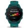 Garmin Reloj Forerunner 170 Music