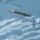 Pelagic Шорты Strike 19´´ Wahoo