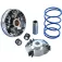 Polini 241773 variator kit