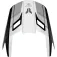 Thor Fleet Defy visor