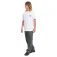 Volcom Sunlog Basic kurzarm-T-shirt