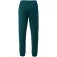 Iq Irnon broek