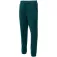 Iq Irnon broek