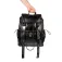 Munich Glossy backpack