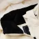 Dare2B Gliding II 재킷