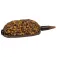 Mikado Method Feeder Yellow Spin pelletit 800g