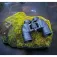 Focus Binocolo Scenery 10x50