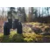 Focus Binocolo Scenery 10x50