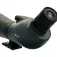 Focus Viewmaster 20-60x80 WP Spektiv