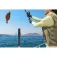 Insta360 FOMO Power handle