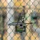 Smallrig 5726 camera mount