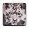 Smallrig 6038S now Leopard Lens Cleaner