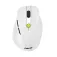 Asus Mouse wireless MD105 RF/BT 2400 DPI