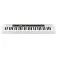 Casio CT-S200WE syntezator