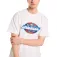 Dickies Coolidge 반팔 티셔츠