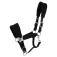 Equitheme Cabeçada Breeze