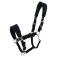 Equitheme Cabrestro Breeze