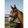 Equitheme Breeze Grime