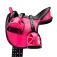 Wintec Educative Pack Kid 鞍