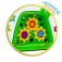 Molto Activity Pony
