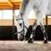 Horseware Capezza Micklem Multi