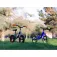 Huffy Pro Thunder 10´´ Loopfiets