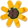 Jibbitz Botanicals 1 참