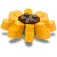 Jibbitz Botanicals 1 참