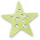 Jibbitz Green Gem Star 참