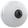 Axis M4328-P security camera