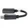 C2g 54322 Videoadapter