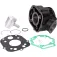 101 octane IP39241 Cilinderkit