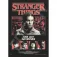 Epoch Stranger Things One Last Adventure puzzel