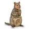 Collecta Quokka figur