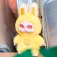 Deqube Peluche Kimmon Weather Code
