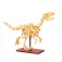 Deqube Three Dinosaur Egg 건설 게임 825 조각