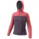 Dynafit Alpine 3L jas