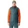 Dynafit Radical RDS Down vest