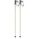 Head Multi poles