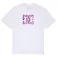 Dc shoes Star Filled 반팔 티셔츠
