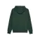 Element Cornell Classic Hettegenser
