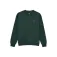 Element Icon Rain 스웨트셔츠