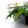 Wellhome Rectangular 화분 2 단위