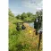 Avid carp Ex-Cast Karpfiskerulle