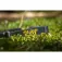 Black cat Lumo Cat 300 reflektor