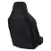 Black cat WP setetrekk