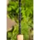 Zebco Combo baitcasting Target Fish 51