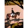Equitheme Redini Hunter K-Line 16mm