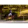 Equitheme Redini Hunter K-Line 16mm